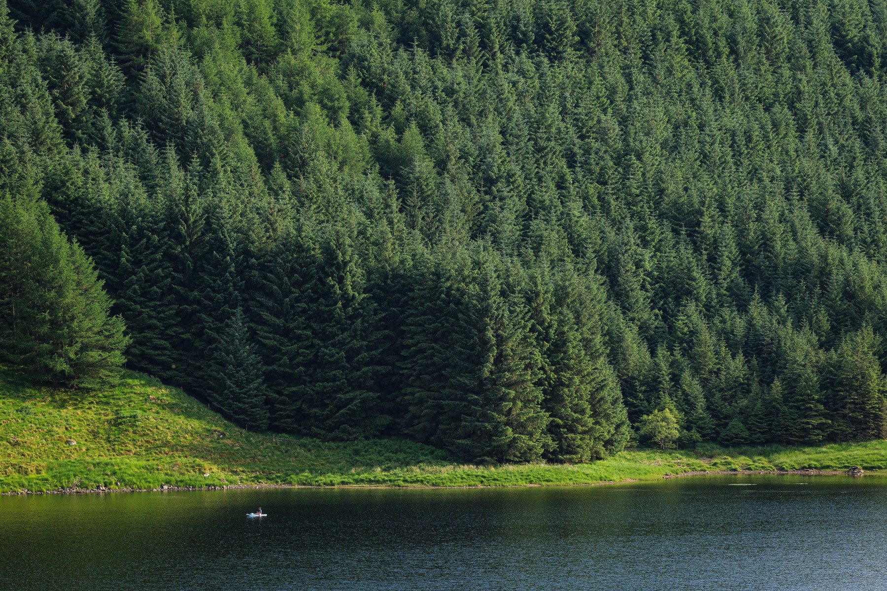 Commodity Trading Solutions Javelin