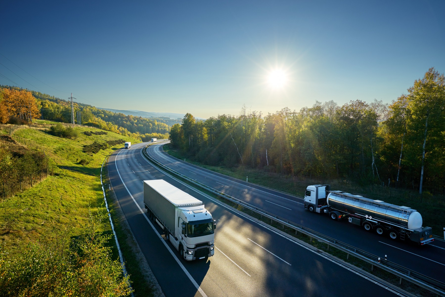 Ocean Freight & Logistics Products & Services Javelin